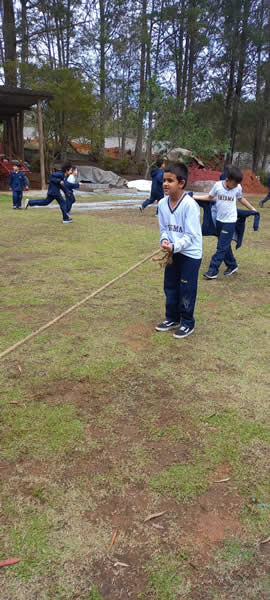 Bicho Mania 2022